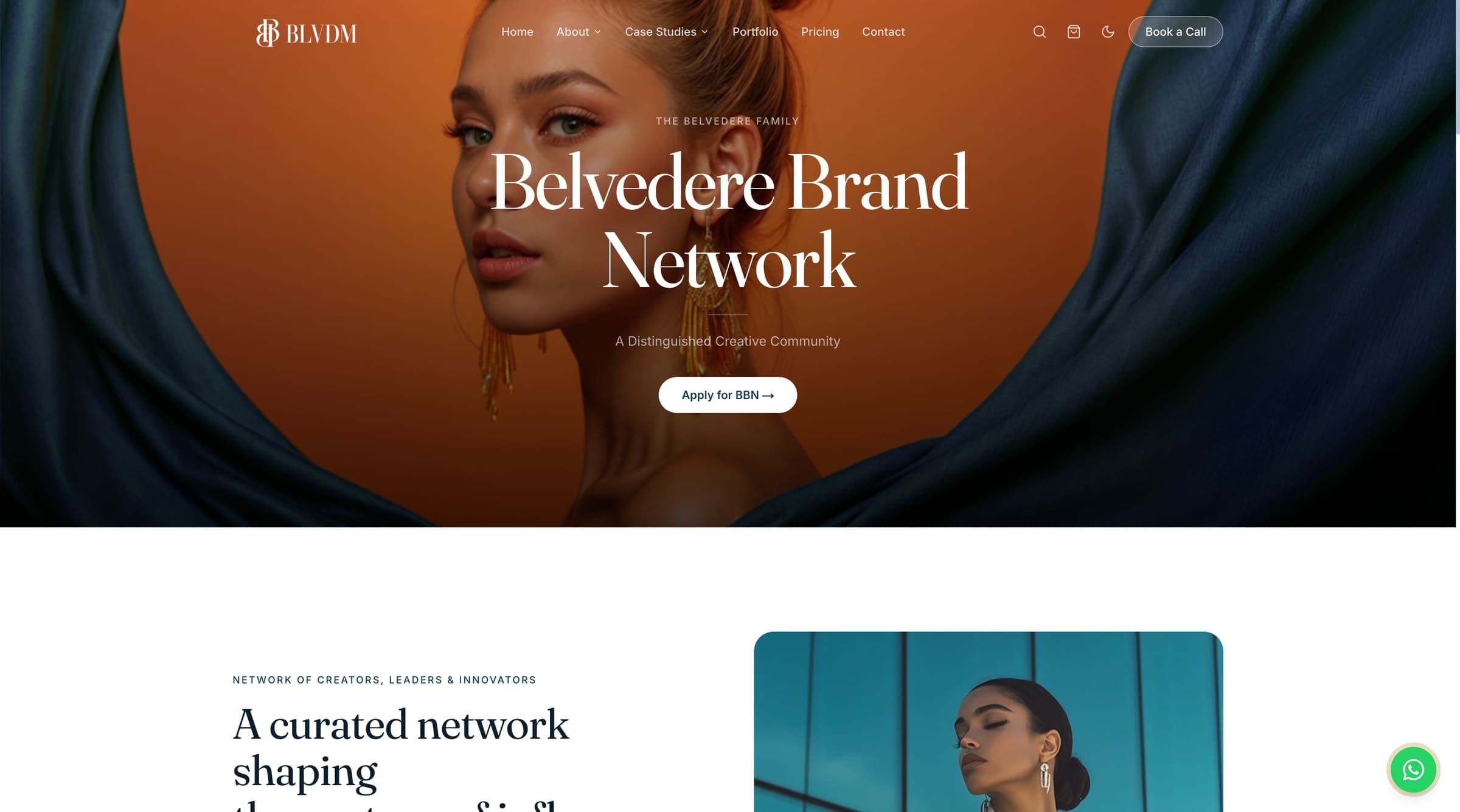Belvedere Marketing website, further section
